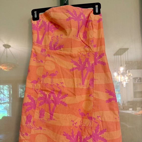 Lily Pulitzer Dress - Picture 1 of 4